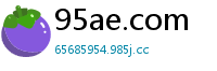 95ae.com